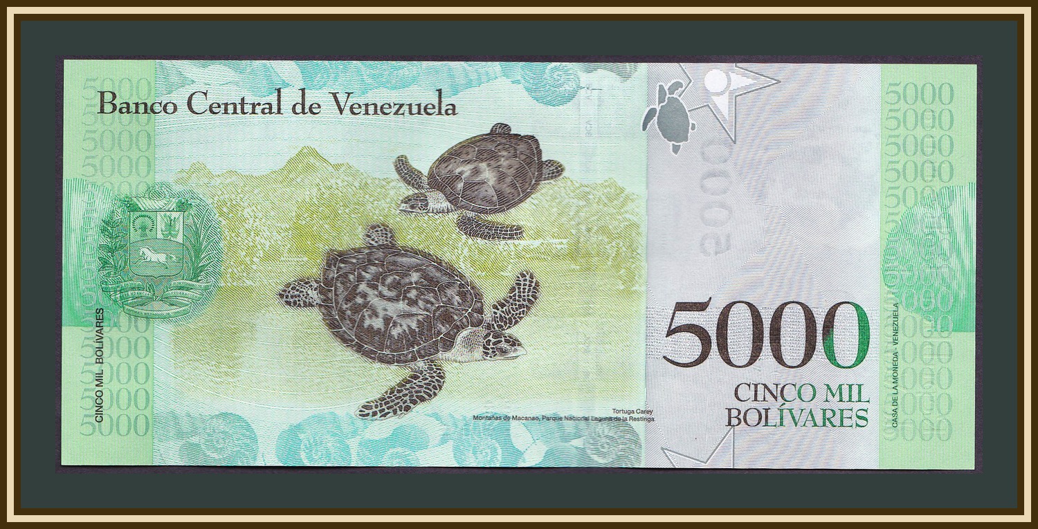 Венесуэла 2017 год. Венесуэла 5000 Боливар. Венесуэльский Боливар банкноты. Венесуэла 5000 Боливар 2017. Венесуэльский Боливар банкноты 2017.