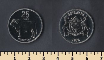  25  1976
