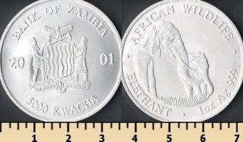 Замбия 5000 квача 2001