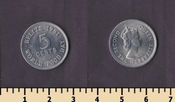 ����� 5 ������ 1981