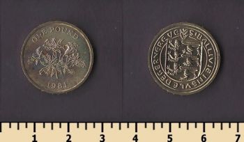 ������ ������ 1 ���� 1981