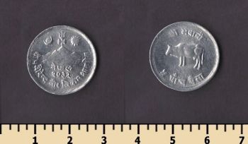 ����� 5 ����� 1975