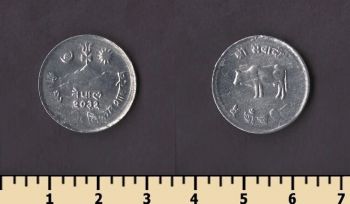 ����� 5 ����� 1975