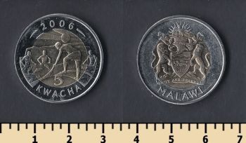  5  2006