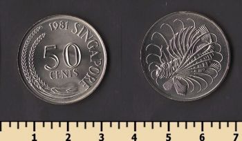 �������� 50 ������ 1981