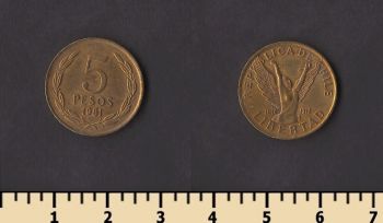 ���� 5 ���� 1981