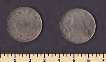 ����� 50 ����� 1954