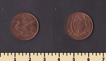 �������� 5 ����� 1991