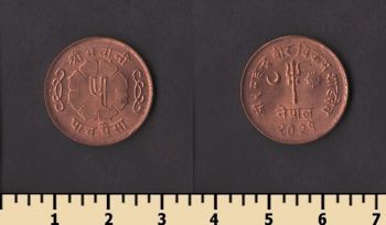 ����� 5 ����� 1964