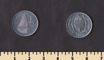 �������� 1 ���� 1984