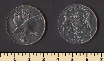 �������� 50 ����� 1984