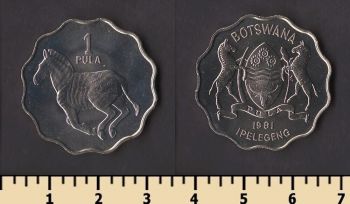 �������� 1 ���� 1981