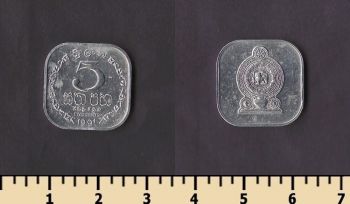 ��� ����� 5 ������ 1991