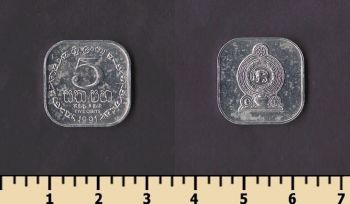 ��� ����� 5 ������ 1991