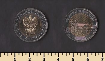 ������ 5 ������ 2024