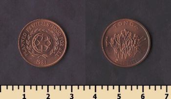 ����� 2 ������ 1981