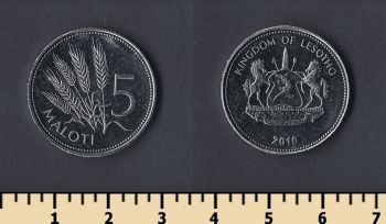  5  2010