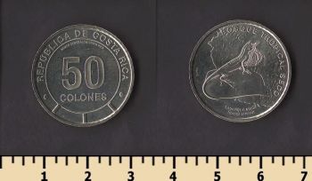 �����-���� 50 ����� 2023