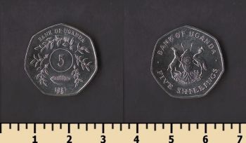 ������ 5 ��������� 1987