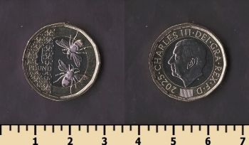 �������������� 1 ���� 2025