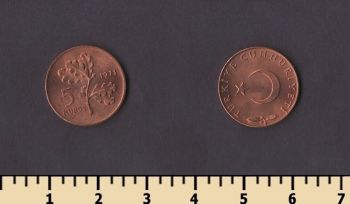 ������ 5 ����� 1971