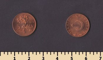 ������ 5 ����� 1971