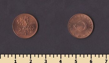 ������ 5 ����� 1971