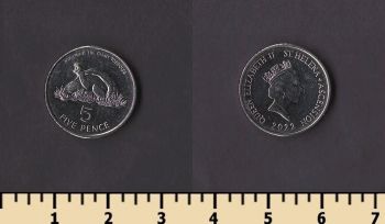 ������ ������ ����� � ���������� 5 ������ 2022