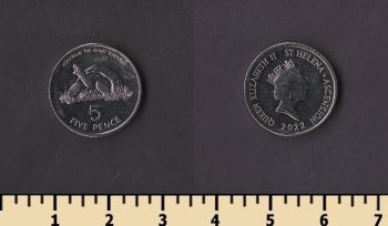 ������ ������ ����� � ���������� 5 ������ 2022