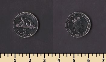 ������ ������ ����� � ���������� 5 ������ 2022