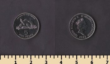 ������ ������ ����� � ���������� 5 ������ 2022