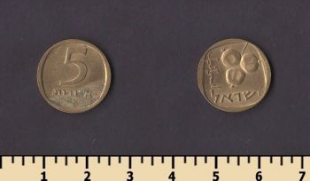  5  1960-1975