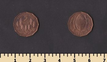 �������� 2 ���� 1981