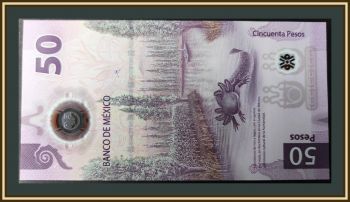 ������� 50 ���� 2024-2025 P-138 (138�) UNC