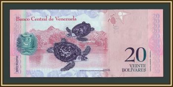 ��������� 20 ��������� 2013 P-91 (91f) UNC