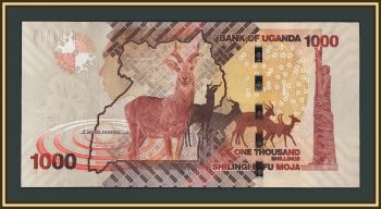 ������ 1000 ��������� 2022 P-49(49g) UNC