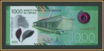 ��������� 1000 ������ 2017 (2019) P-218 (218a) UNC