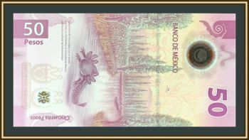 ������� 50 ���� 2024 P-138 (138�.2) UNC