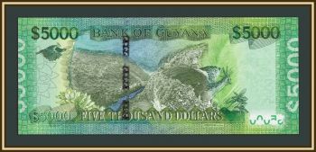������ 5000 �������� 2013 P-40 (40a) UNC