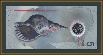 ����������� �-�� (��������) 5 ����� 2017 P-26 (26Aa) UNC