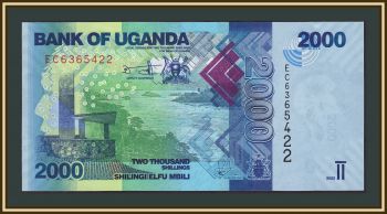 ������ 2000 ��������� 2022 P-50 (50g) UNC