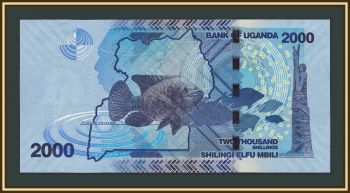 Уганда 2000 шиллингов 2022 P-50 (50g) UNC