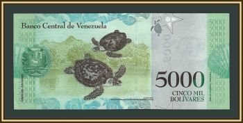 ��������� 5000 ��������� 2017 P-97 (97c) �UNC