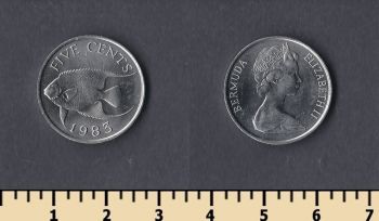  5  1983