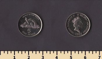 ������ ������ ����� � ���������� 5 ������ 2006