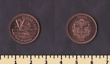 ������ 5 �������� 2008