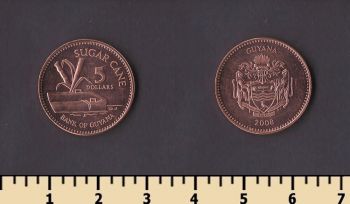 ������ 5 �������� 2008