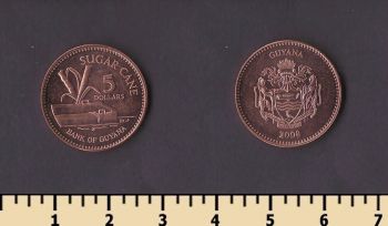 ������ 5 �������� 2008