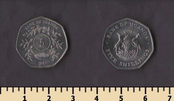������ 5 ��������� 1987