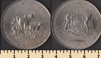 ������ 5 ��������� 1970